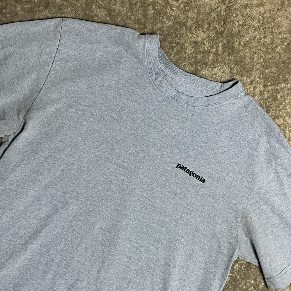 Patagonia Mens Size Small Light Blue Fitz Roy Tarpon Trout Fish Responsibili-Tee